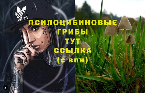 СК Новодвинск
