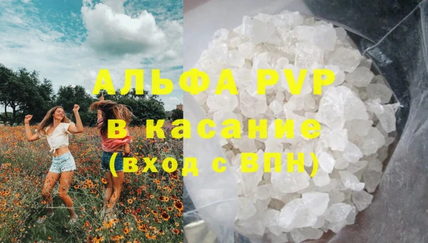 СК Новодвинск