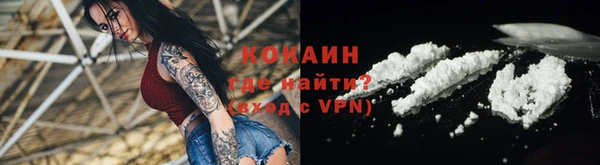 СК Новодвинск