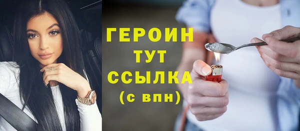 молекула духа Новозыбков