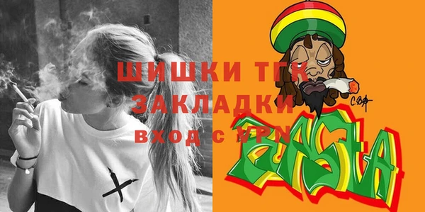 СК Новодвинск