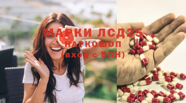 молекула духа Новозыбков