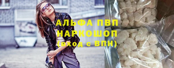 молекула духа Новозыбков