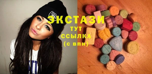 молекула духа Новозыбков