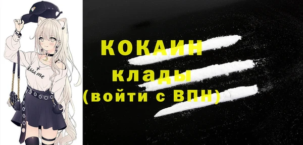 СК Новодвинск