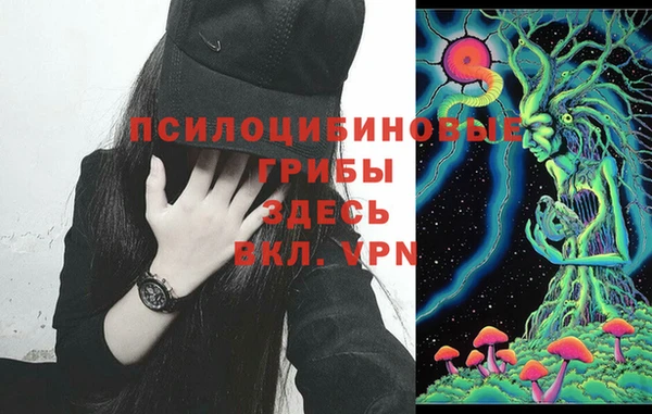 СК Новодвинск