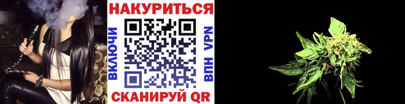 Бошки Шишки семена  Купить  Саянск 